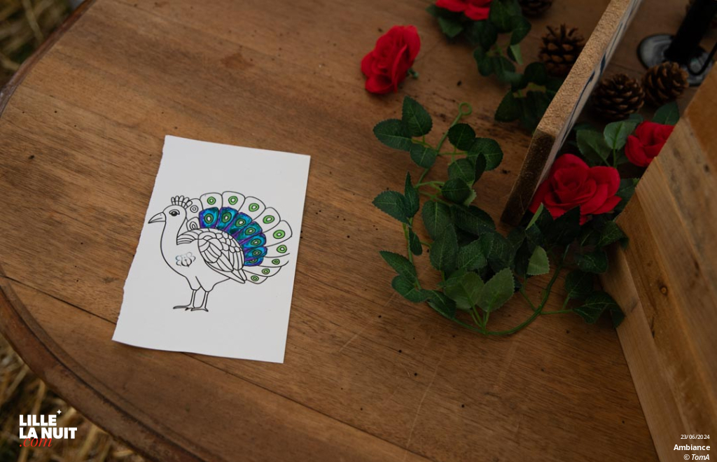 Rock In Bourlon, l’ambiance de ce festival en live - photo n°5