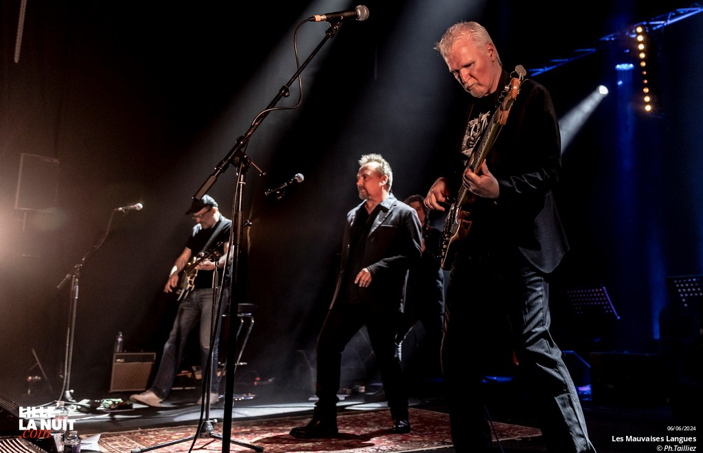 Les Mauvaises Langues au Splendid de Lille en live - photo n°19