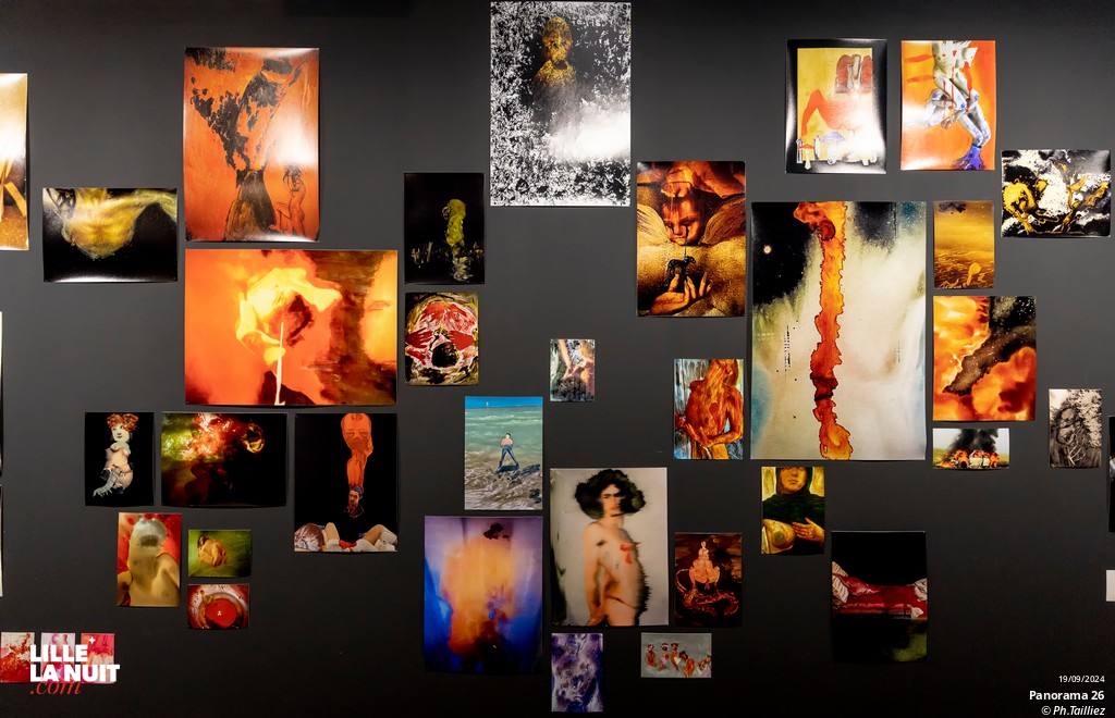 Panorama 26, l’exposition du Fresnoy en live - photo n°15