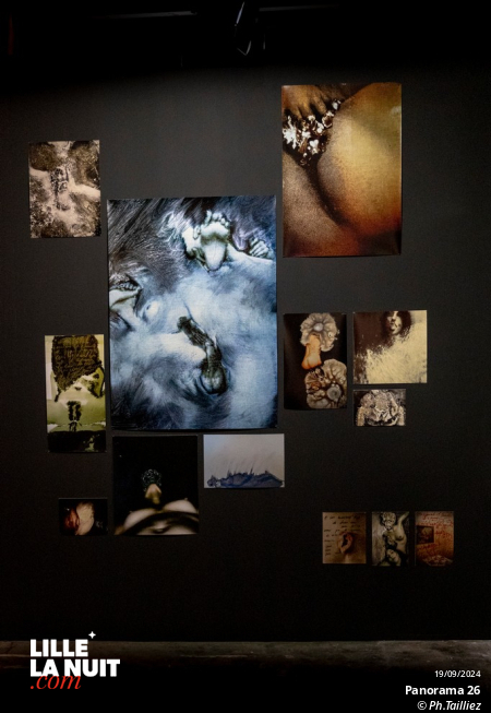 Panorama 26, l’exposition du Fresnoy en live - photo n°19