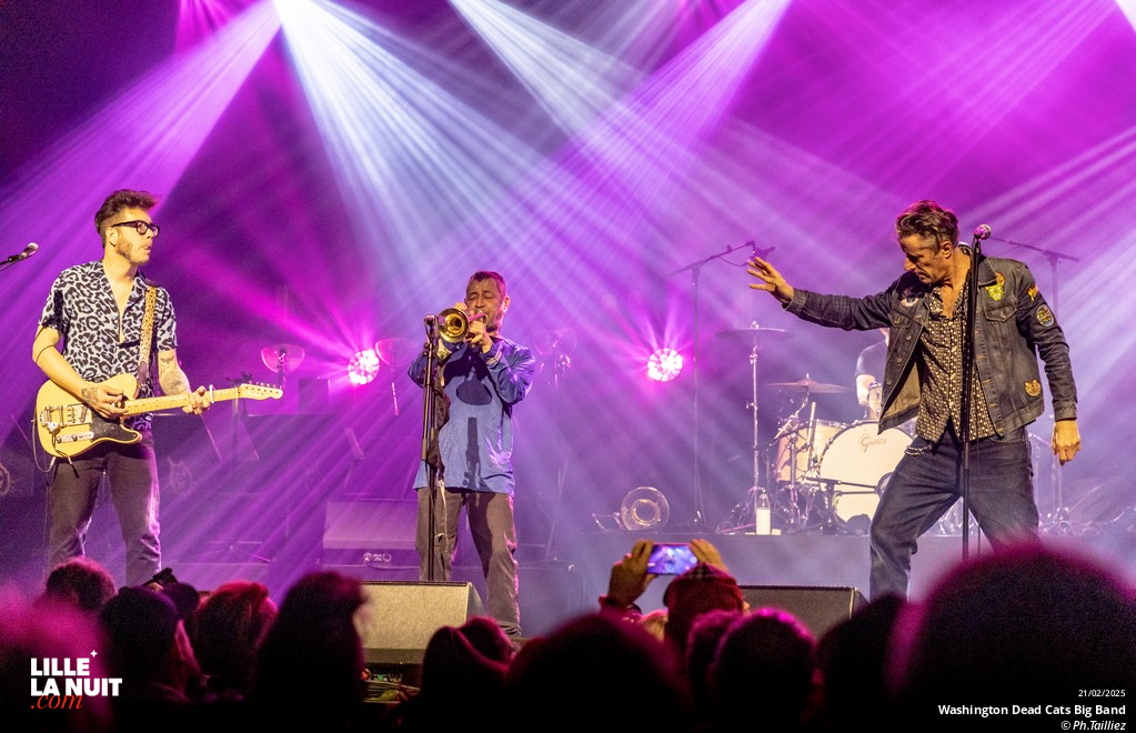 Washington Dead Cats Big Band + Spunyboys + DJ Healer Selecta à l’Aéronef en live - photo n°16
