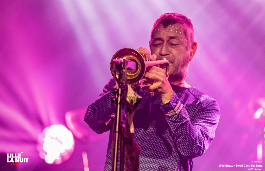 Washington Dead Cats Big Band + Spunyboys + DJ Healer Selecta à l’Aéronef en live - photo n°30