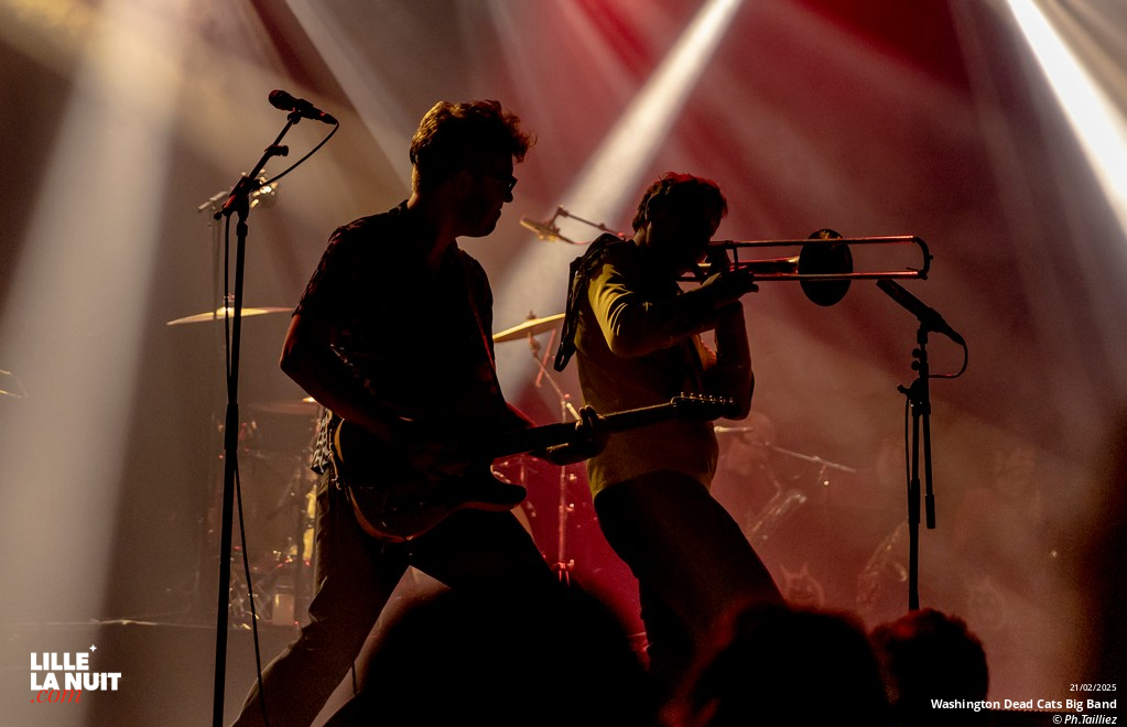 Washington Dead Cats Big Band + Spunyboys + DJ Healer Selecta à l’Aéronef en live - photo n°4