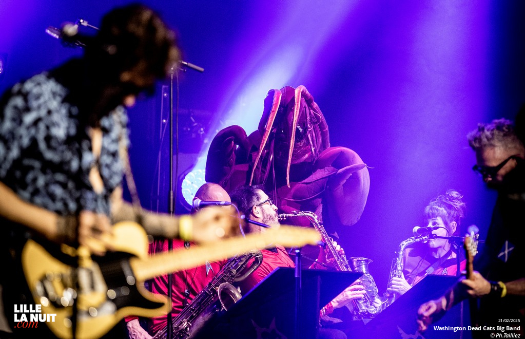Washington Dead Cats Big Band + Spunyboys + DJ Healer Selecta à l’Aéronef en live - photo n°22