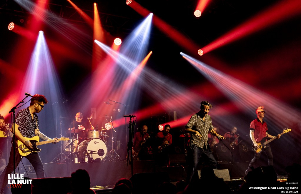 Washington Dead Cats Big Band + Spunyboys + DJ Healer Selecta à l’Aéronef en live - photo n°40