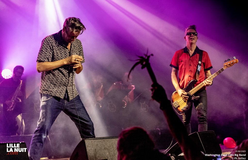 Washington Dead Cats Big Band + Spunyboys + DJ Healer Selecta à l’Aéronef en live - photo n°42