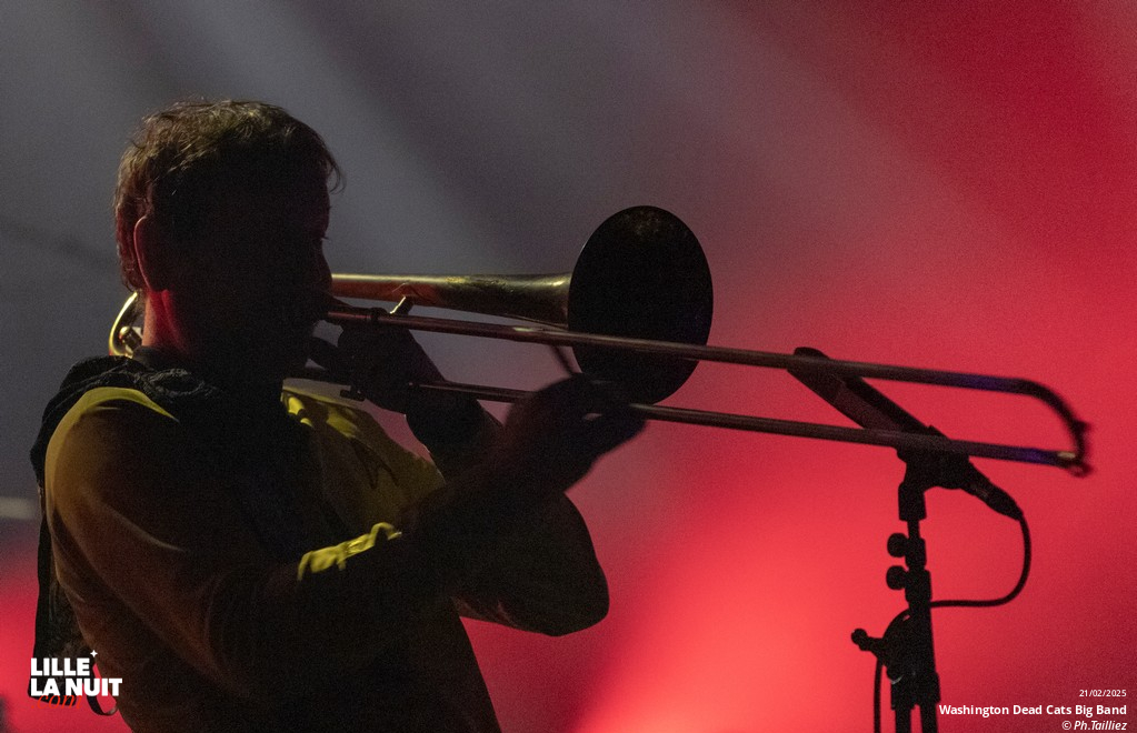 Washington Dead Cats Big Band + Spunyboys + DJ Healer Selecta à l’Aéronef en live - photo n°34