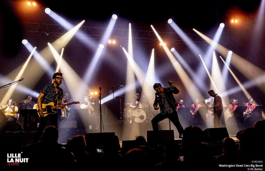 Washington Dead Cats Big Band + Spunyboys + DJ Healer Selecta à l’Aéronef en live - photo n°1