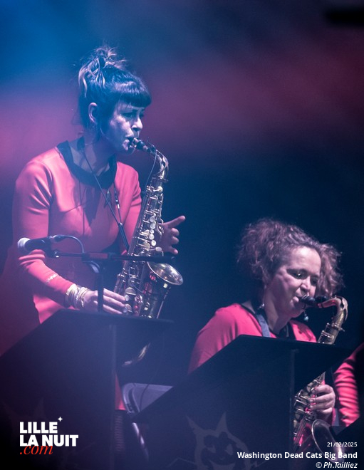 Washington Dead Cats Big Band + Spunyboys + DJ Healer Selecta à l’Aéronef en live - photo n°47