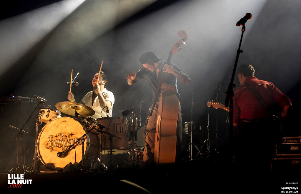 Washington Dead Cats Big Band + Spunyboys + DJ Healer Selecta à l’Aéronef en live - photo n°12