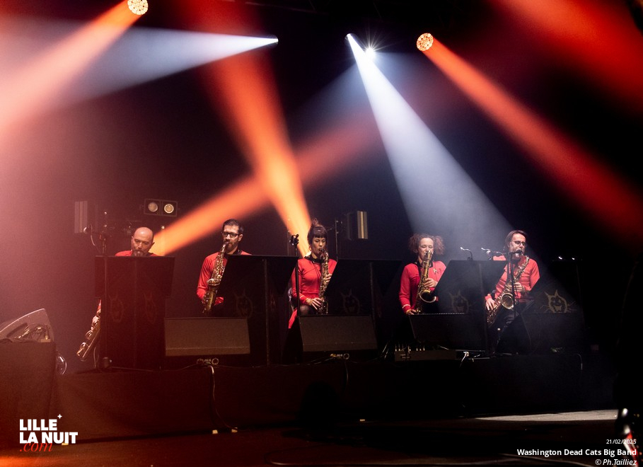 Washington Dead Cats Big Band + Spunyboys + DJ Healer Selecta à l’Aéronef en live - photo n°44