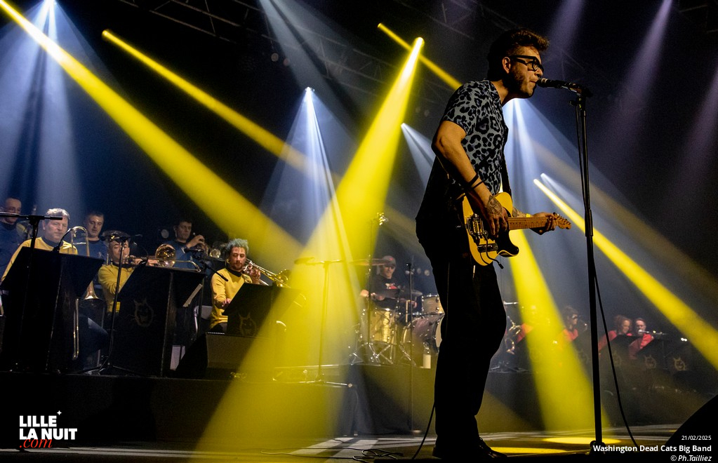 Washington Dead Cats Big Band + Spunyboys + DJ Healer Selecta à l’Aéronef en live - photo n°2