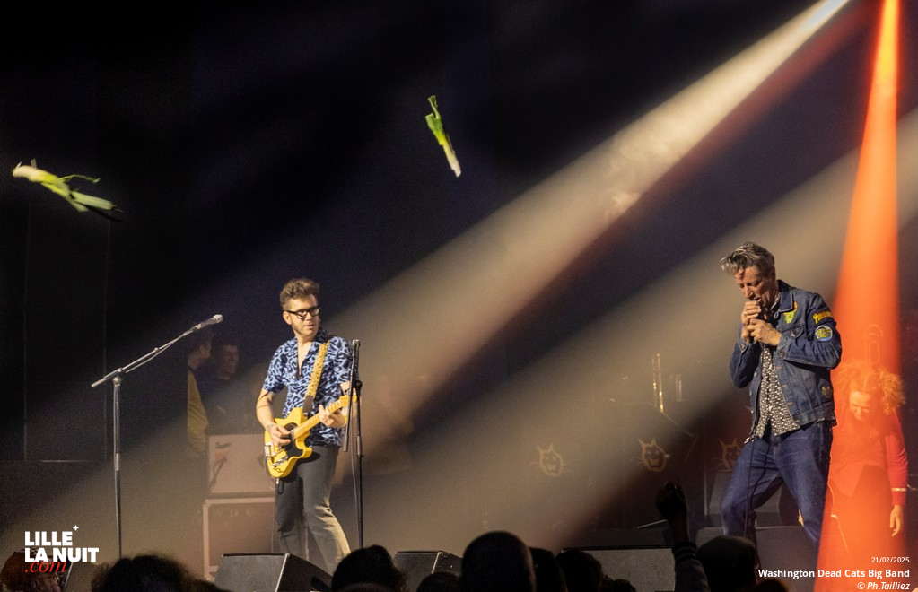 Washington Dead Cats Big Band + Spunyboys + DJ Healer Selecta à l’Aéronef en live - photo n°10