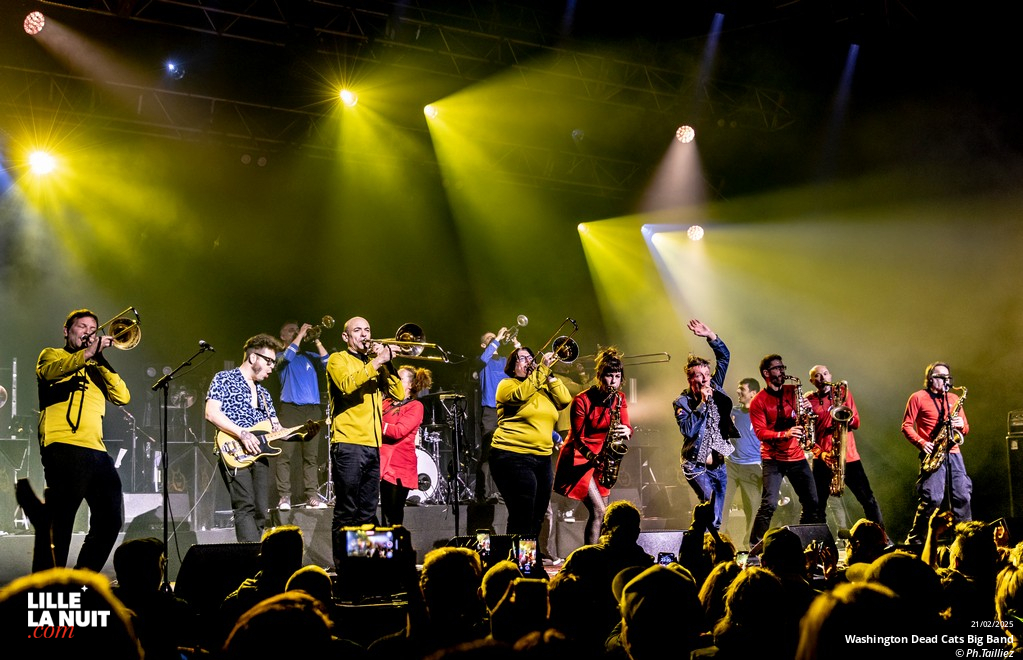 Washington Dead Cats Big Band + Spunyboys + DJ Healer Selecta à l’Aéronef en live - photo n°27
