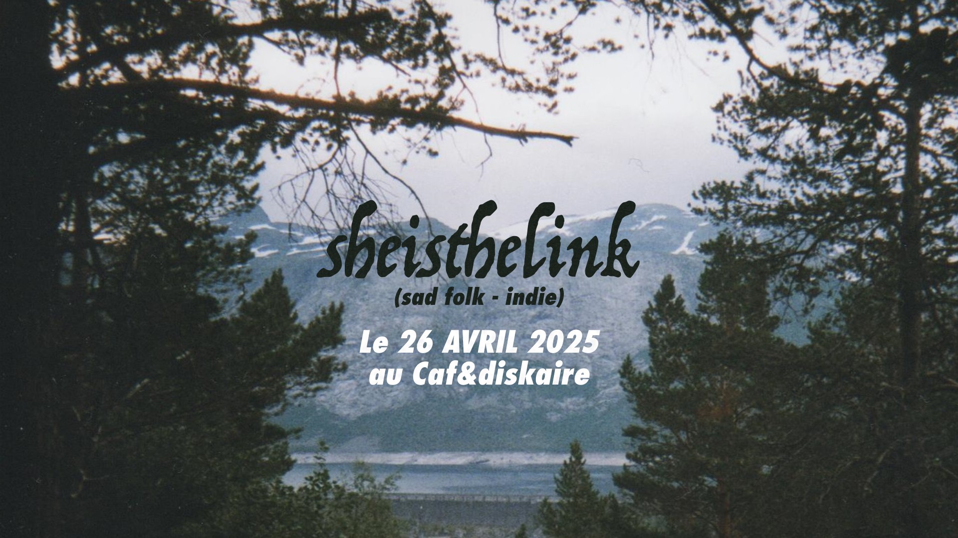 Sheisthelink au Caf&diskaire