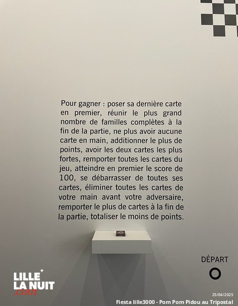 Fiesta lille3000 – Pom Pom Pidou au Tripostal : quand Paris s’invite à Lille en live - photo n°11