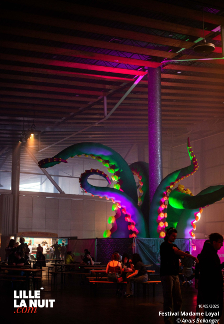 Festival Madame Loyal à Lille Grand Palais en live - photo n°1