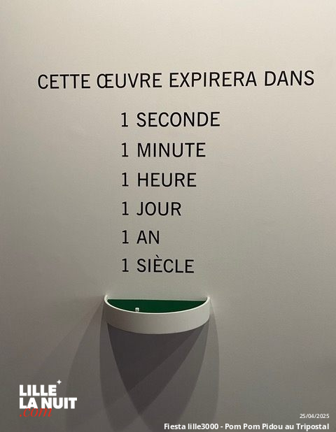 Fiesta lille3000 – Pom Pom Pidou au Tripostal : quand Paris s’invite à Lille en live - photo n°9