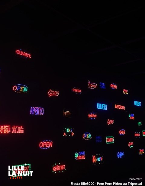 Fiesta lille3000 – Pom Pom Pidou au Tripostal : quand Paris s’invite à Lille en live - photo n°6
