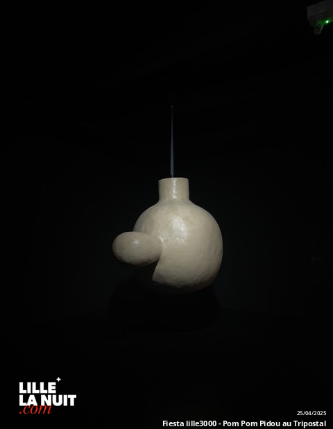Fiesta lille3000 – Pom Pom Pidou au Tripostal : quand Paris s’invite à Lille en live - photo n°4