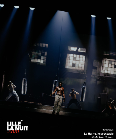 La Haine, le spectacle musical au Zénith de Lille en live - photo n°12