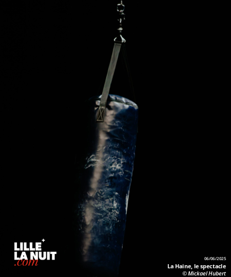 La Haine, le spectacle musical au Zénith de Lille en live - photo n°7