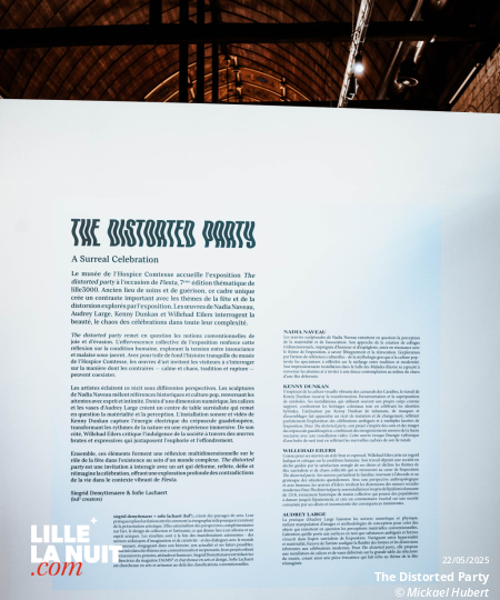 Fiesta lille3000 – The Distorted Party à l’Hospice Comtesse en live - photo n°4