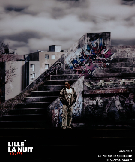 La Haine, le spectacle musical au Zénith de Lille en live - photo n°55