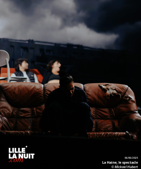 La Haine, le spectacle musical au Zénith de Lille en live - photo n°23