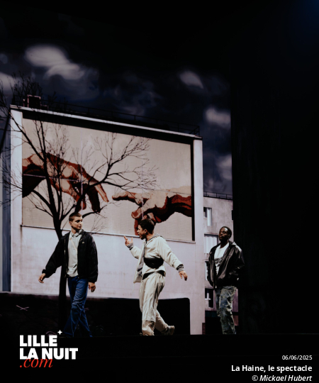 La Haine, le spectacle musical au Zénith de Lille en live - photo n°18