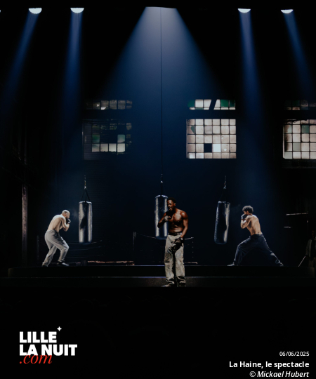 La Haine, le spectacle musical au Zénith de Lille en live - photo n°14