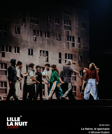 La Haine, le spectacle musical au Zénith de Lille en live - photo n°64
