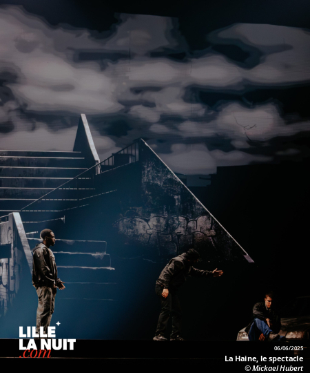 La Haine, le spectacle musical au Zénith de Lille en live - photo n°50