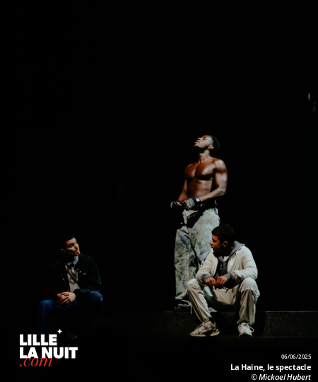 La Haine, le spectacle musical au Zénith de Lille en live - photo n°8