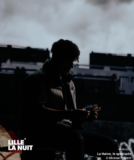 La Haine, le spectacle musical au Zénith de Lille en live - photo n°24