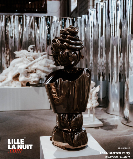 Fiesta lille3000 – The Distorted Party à l’Hospice Comtesse en live - photo n°18