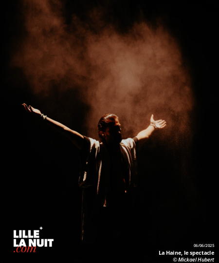La Haine, le spectacle musical au Zénith de Lille en live - photo n°75