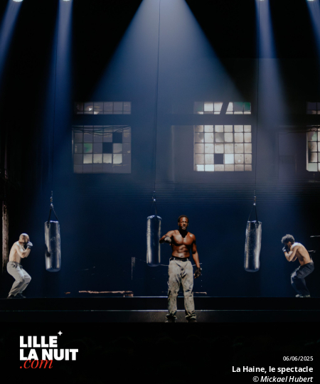 La Haine, le spectacle musical au Zénith de Lille en live - photo n°15