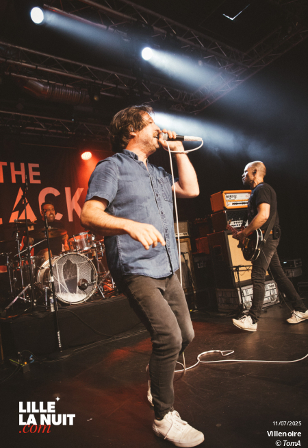 Birds In Row + Villenoire au Black Lab en live - photo n°26