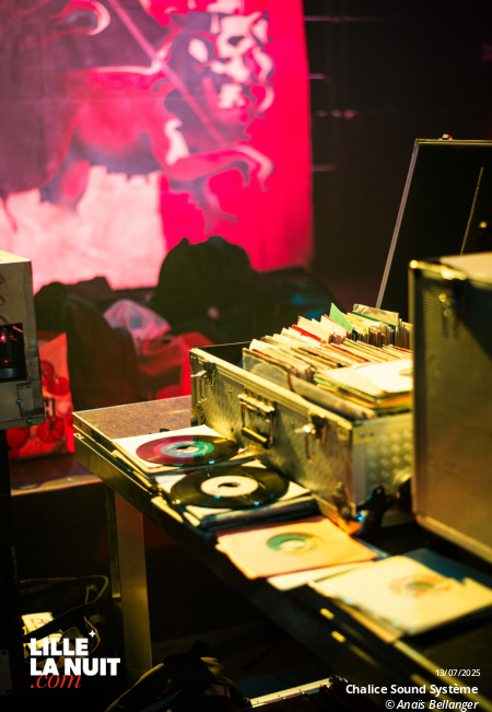 Les Nuits Secrètes 2025 en live - photo n°3