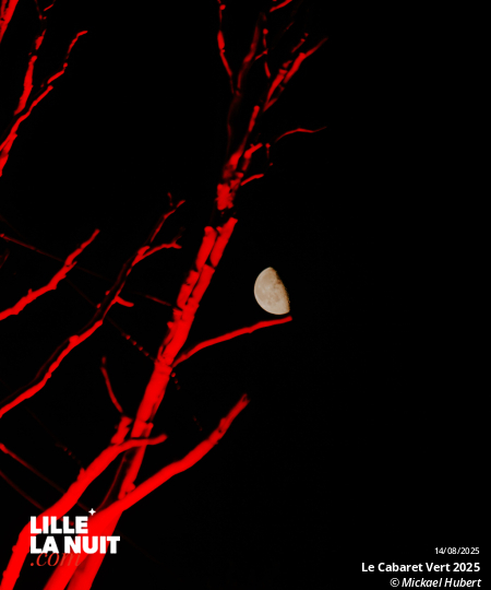 Le Cabaret Vert 2025 en live - photo n°11
