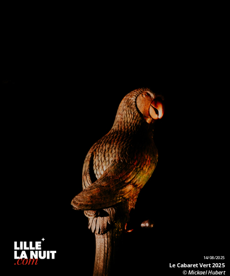 Le Cabaret Vert 2025 en live - photo n°8