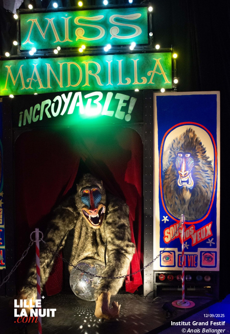 Fiesta lille3000 – Institut Grand Festif de la Briche Foraine à la Gare Saint Sauveur en live - photo n°4