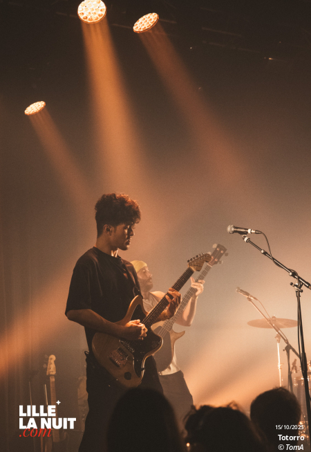 Zombie Zombie + Totorro au Grand Mix en live - photo n°6