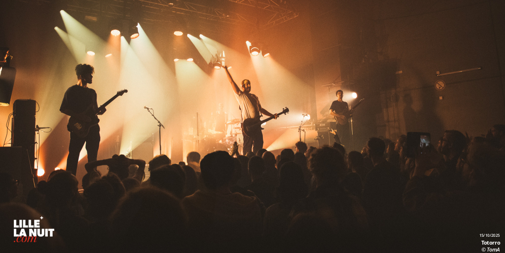 Zombie Zombie + Totorro au Grand Mix en live - photo n°1