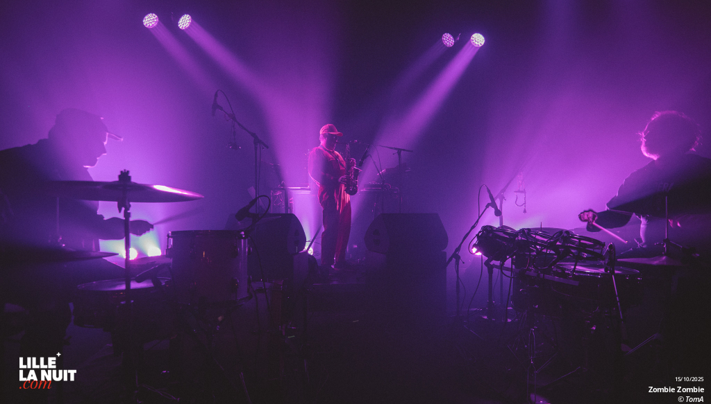 Zombie Zombie + Totorro au Grand Mix en live - photo n°25