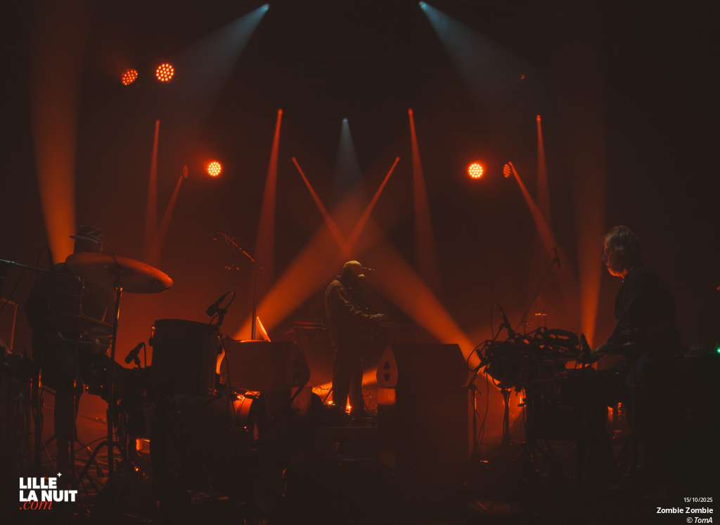 Zombie Zombie + Totorro au Grand Mix en live - photo n°39