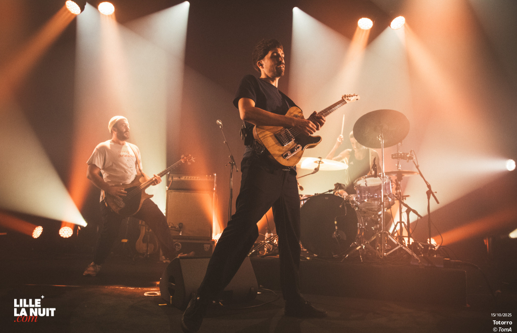 Zombie Zombie + Totorro au Grand Mix en live - photo n°36