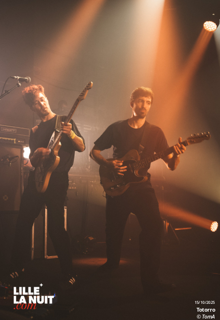 Zombie Zombie + Totorro au Grand Mix en live - photo n°13