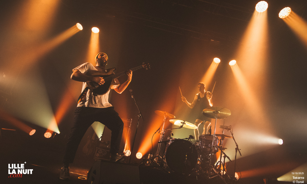 Zombie Zombie + Totorro au Grand Mix en live - photo n°31